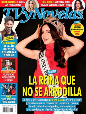 TV y Novelas México - Magazine
